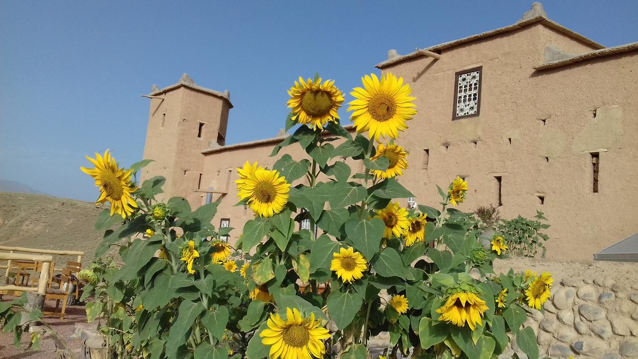 فندق Kasbah Izoran مدلة المظهر الخارجي الصورة