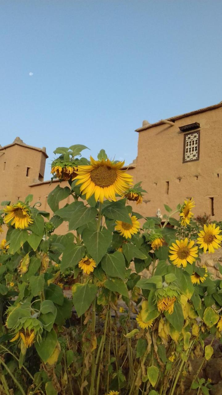 فندق Kasbah Izoran مدلة المظهر الخارجي الصورة