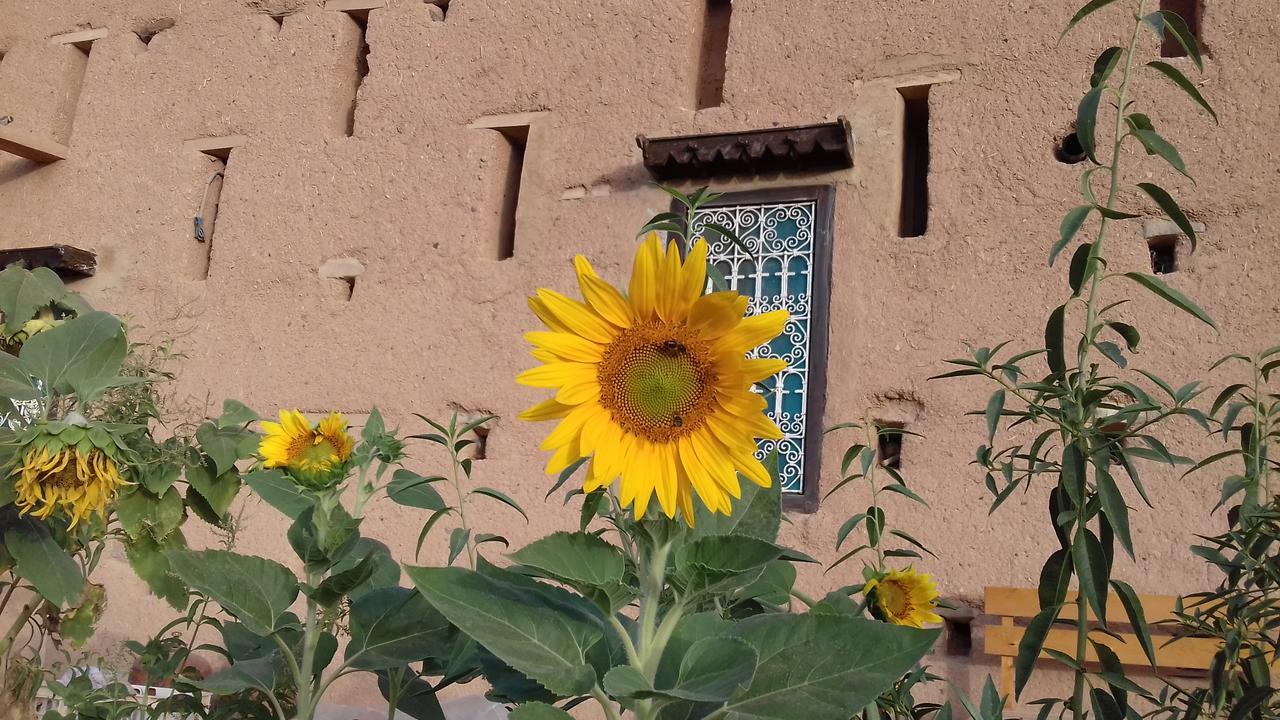 فندق Kasbah Izoran مدلة المظهر الخارجي الصورة