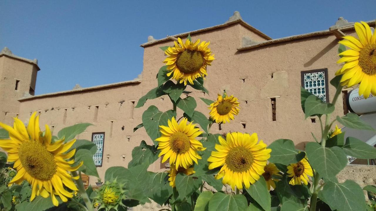 فندق Kasbah Izoran مدلة المظهر الخارجي الصورة