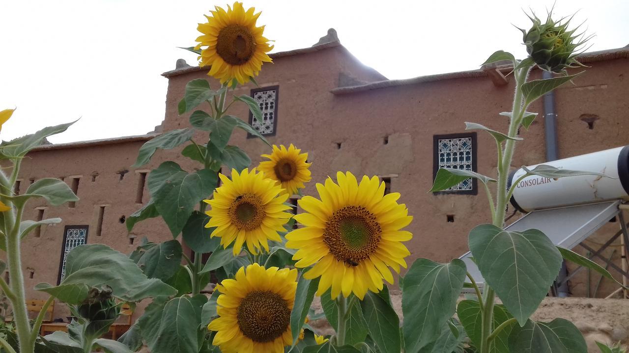 فندق Kasbah Izoran مدلة المظهر الخارجي الصورة