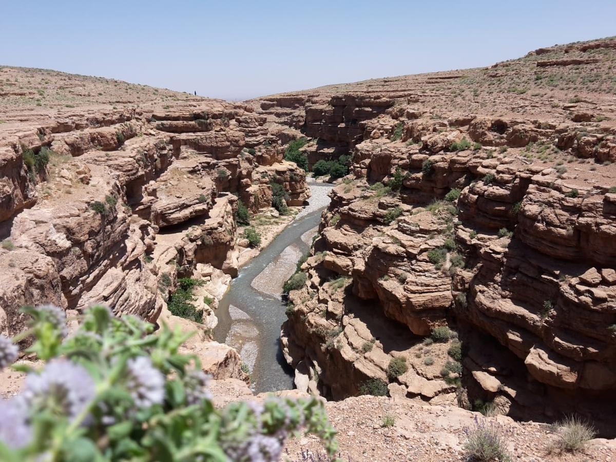 فندق Kasbah Izoran مدلة المظهر الخارجي الصورة